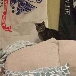 Meet your Posher, Nathan